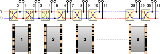 Simplified diagram of the Inversion Chain